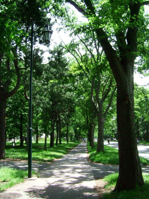 a green road