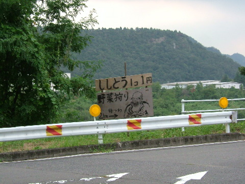 funny sign