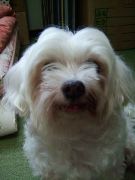 Happy!!